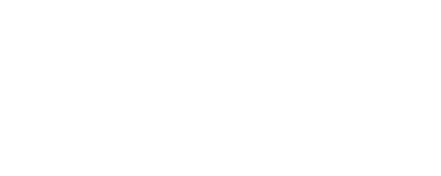 Asset